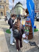 Klikněte pro zvětšení obrázku p1k3rgjvug1735o2e1v1116m713kpd.JPEG