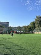 Klikněte pro zvětšení obrázku p1k36j50cq1iblsg1ses34gbe6.JPEG