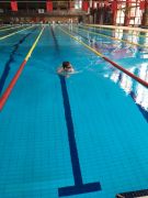 Klikněte pro zvětšení obrázku p1bf7p8kpnc2s1q8qr05fqc10v06.JPG