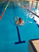 Klikněte pro zvětšení obrázku p1bf7p8kppmuaqht1g58031qsg7.JPG