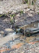 Klikněte pro zvětšení obrázku p1jkfs6b3c1g241fv4c8e8do1qn6j.jpg