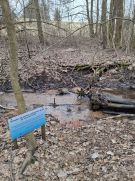 Klikněte pro zvětšení obrázku p1jkfs6b3crag14m81c377r01enak.jpg