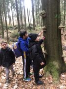 Klikněte pro zvětšení obrázku p1jkfs6b3m1heqq011st71ooc1fj01e.JPG