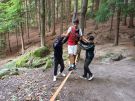 Klikněte pro zvětšení obrázku p1hckeemgg3mm1ovm12t619l7o9lb.jpg