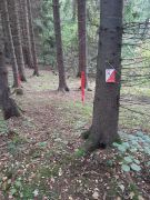 Klikněte pro zvětšení obrázku p1hckeemgj1d31772148o7srfm2q.jpeg
