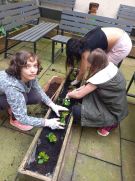 Klikněte pro zvětšení obrázku p1i93l11fhfof1u0loguutrkjb4.jpg