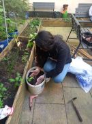 Klikněte pro zvětšení obrázku p1i93l11fj176oq9m6osttr7lua.jpg