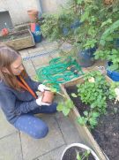 Klikněte pro zvětšení obrázku p1i93l11fjtv58pfa74re1skdb.jpg