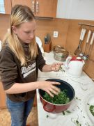 Klikněte pro zvětšení obrázku p1i93l11fqe7e19k0g0p139n1fnsn.jpg