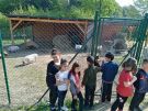 Klikněte pro zvětšení obrázku p1g3gb6eq81go11982tgie9p5l6.jpg