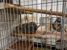 Klikněte pro zvětšení obrázku p1gem78g7mbutdai159oihv1a8pr.jpg