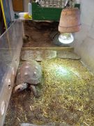 Klikněte pro zvětšení obrázku p1gem78g7n1b06a03ke31kgak38v.jpg
