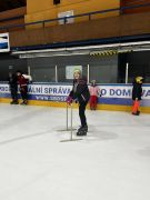 Klikněte pro zvětšení obrázku p1jjr94p1d1pb55qeqk9bv1ue34.JPEG