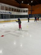 Klikněte pro zvětšení obrázku p1jjr94p1hc2skb11dlu9k09h7m.JPEG