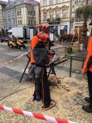 Klikněte pro zvětšení obrázku p1gejvjibl11ouj0f15ld7231s656.JPEG