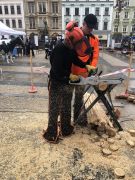 Klikněte pro zvětšení obrázku p1gejvjibm1drq6vcqruab61c4i7.JPEG