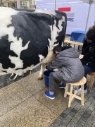 Klikněte pro zvětšení obrázku p1gejvjibn1236hfhq731hqf1kbm8.JPEG