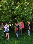 Klikněte pro zvětšení obrázku p1g56ciitu1ia4m1v1jbbcvs1rap4.jpg