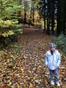 Klikněte pro zvětšení obrázku p1j9f6337i1eg6inb1pft1udsbujs.JPG