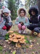 Klikněte pro zvětšení obrázku p1j9f6337irlemrp1d171ufc17vq.jpg