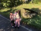 Klikněte pro zvětšení obrázku p1k5hho8l6fen4918221s1av5lu.JPG