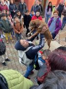 Klikněte pro zvětšení obrázku p1ib1a1g902c964od0tn1em59.jpg