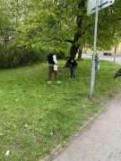 Klikněte pro zvětšení obrázku p1hs7lfvffd3m8ba95j1u551vlp13.JPEG