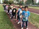 Klikněte pro zvětšení obrázku p1joba0mi16g4152h1j971rp664u.JPG