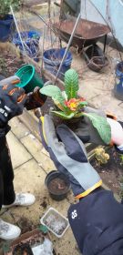 Klikněte pro zvětšení obrázku p1jkv5scdaj1s1rti4rk1qsts1ri.jpg