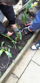 Klikněte pro zvětšení obrázku p1jkv5scdb27j1usbfn81e9p7f4j.jpg