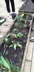 Klikněte pro zvětšení obrázku p1jkv5scdbc2qiri4261dr81ecuk.jpg