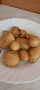 Klikněte pro zvětšení obrázku p1hbnp7jqj1fun1jgn1lb0g1a1sjcg.jpg