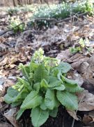 Klikněte pro zvětšení obrázku p1jkfputt6n8e1ahl160gta616q3g.jpg