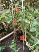 Klikněte pro zvětšení obrázku p1i8pd7grf199m1ia3922qoa7qp4.jpg