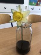 Klikněte pro zvětšení obrázku p1jljngjuslll122g2rl1hqn6ls6.JPG