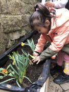 Klikněte pro zvětšení obrázku p1jljngjut9m9c276c518cpqgi9.JPG