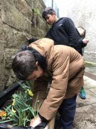 Klikněte pro zvětšení obrázku p1jljngjuucc93bnhkvbnld27c.JPG