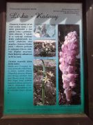 Klikněte pro zvětšení obrázku p1bctbq8uk1gd08cb1m4617f019ig4.jpg