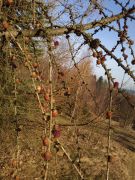 Klikněte pro zvětšení obrázku p1bctbq8unq1h13avdi81hfk4m57.jpg