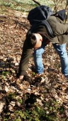 Klikněte pro zvětšení obrázku p1be57ao9ssl912s0162f1imvhsm8.jpg