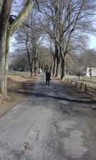 Klikněte pro zvětšení obrázku p1be57ao9u1bmvnfis50uc011lbb.jpg