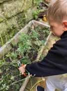 Klikněte pro zvětšení obrázku p1i8pd2bs612dp1q441arkdh1d9q6.jpg