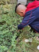 Klikněte pro zvětšení obrázku p1i8pd2bs612qp152m19ab1rl3oj75.jpg