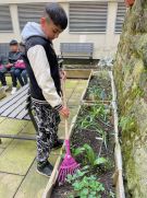 Klikněte pro zvětšení obrázku p1i8pd2bs91uq1gk0iobuvr1v27j.jpg