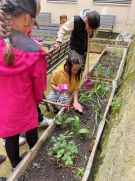 Klikněte pro zvětšení obrázku p1i8pd2bsa1eg68r8q8t6kibqk.jpg