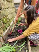 Klikněte pro zvětšení obrázku p1i8pd2bsajbl1bp5c0u92g17gl.jpg