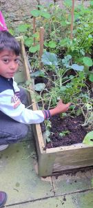 Klikněte pro zvětšení obrázku p1i8pctgmq1ifs1trq1cfv1arr1lsb7.jpg