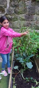 Klikněte pro zvětšení obrázku p1i8pctgmq91876021r2uiobe8.jpg