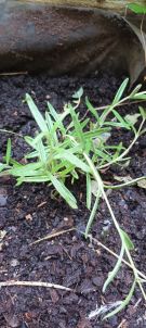 Klikněte pro zvětšení obrázku p1i8pctgmrfebuv019ne106k1f3cc.jpg