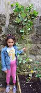 Klikněte pro zvětšení obrázku p1i8pctgmscad1rv01n401pd11vf4e.jpg